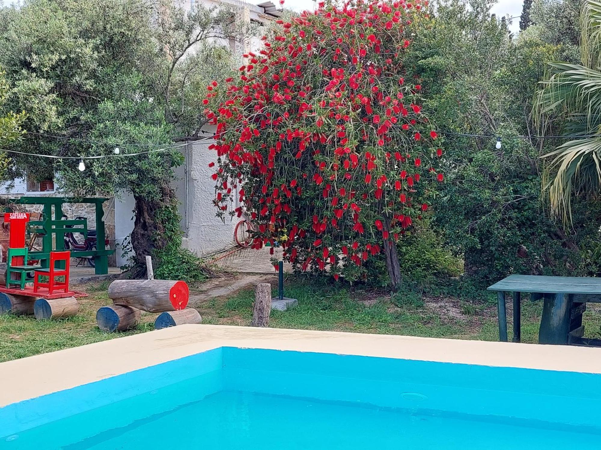 Sofiana'S Garden Retreat With Private Pool Διαμέρισμα Dhrapaniás Δωμάτιο φωτογραφία